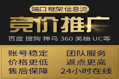 竞价广告赚钱秘籍：百度实战案例